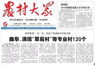 乡村头条,聚焦乡村振兴，共绘美丽乡村新画卷