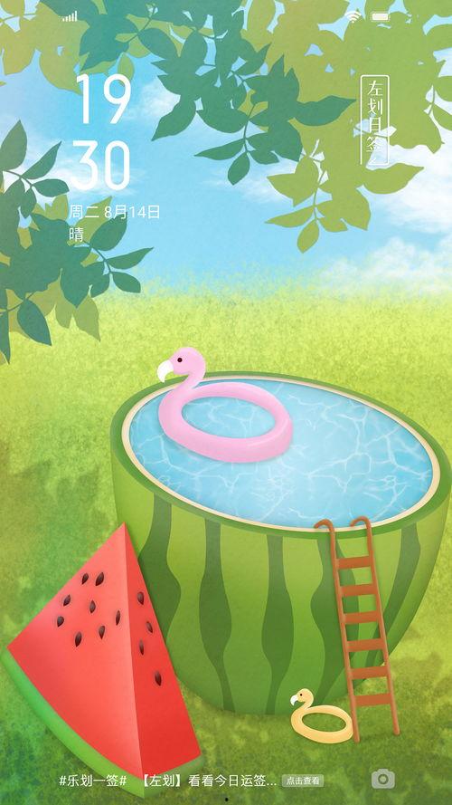 四时欢喜吃瓜,欢喜尽享时令美味