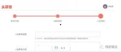 今日头条网址填写,揭秘热门话题背后的真相与趋势